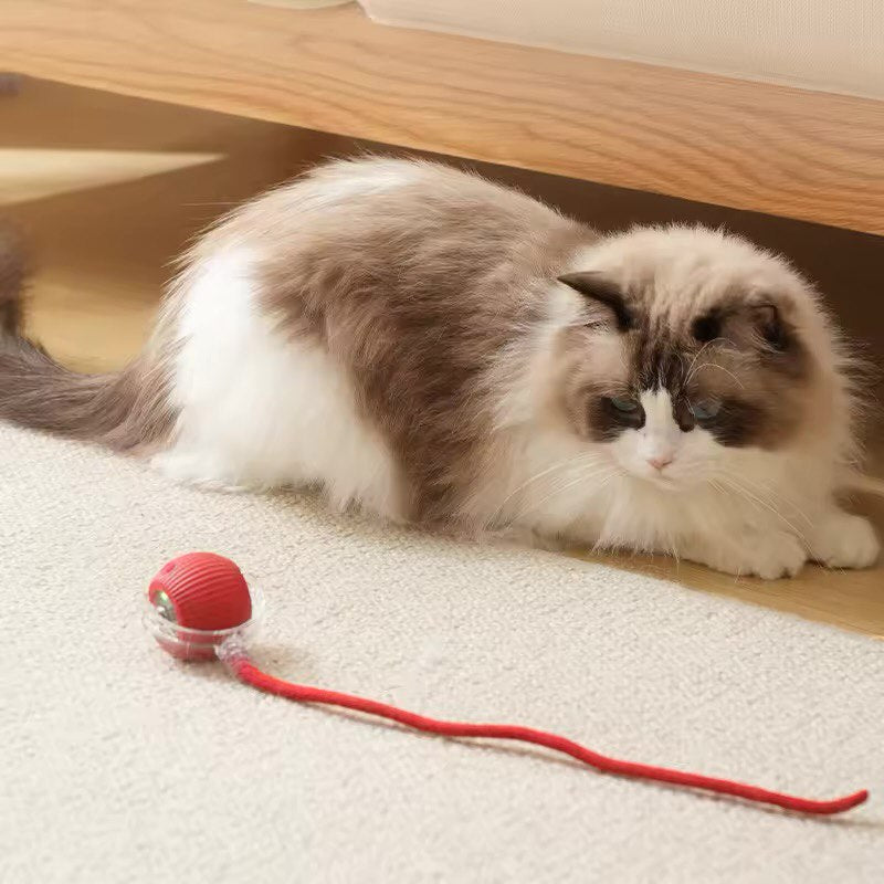 LEBELUX Interactive Cats Ball Toy