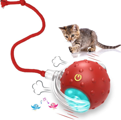 LEBELUX Interactive Cats Ball Toy