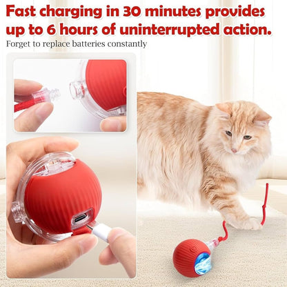 LEBELUX Interactive Cats Ball Toy