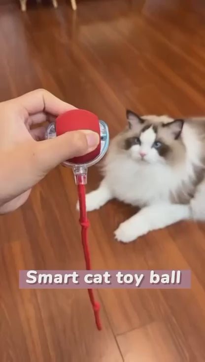 LEBELUX Interactive Cats Ball Toy